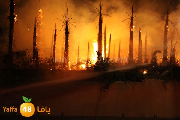 fire minas2 sterer (8).JPG